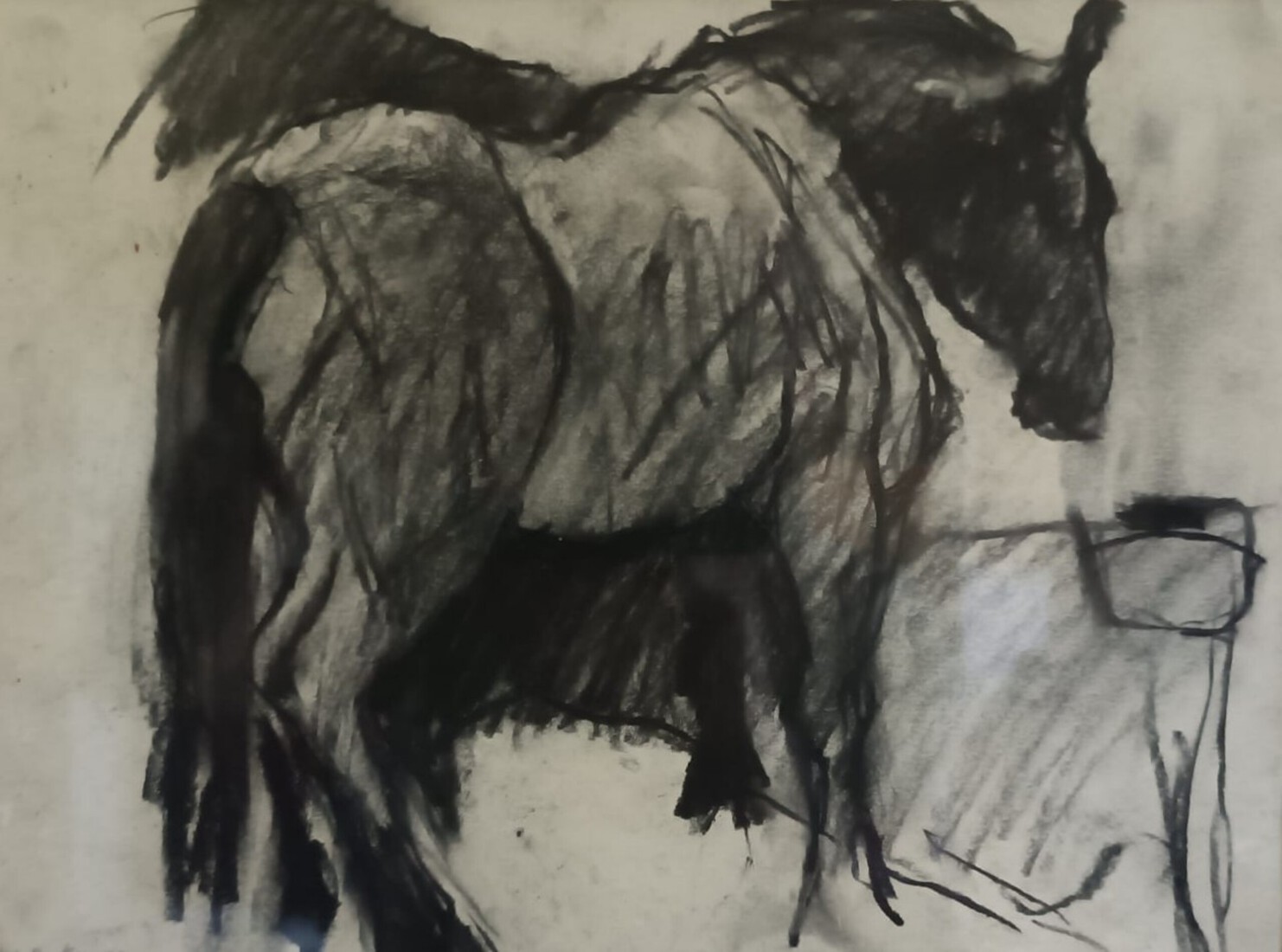 Paard
