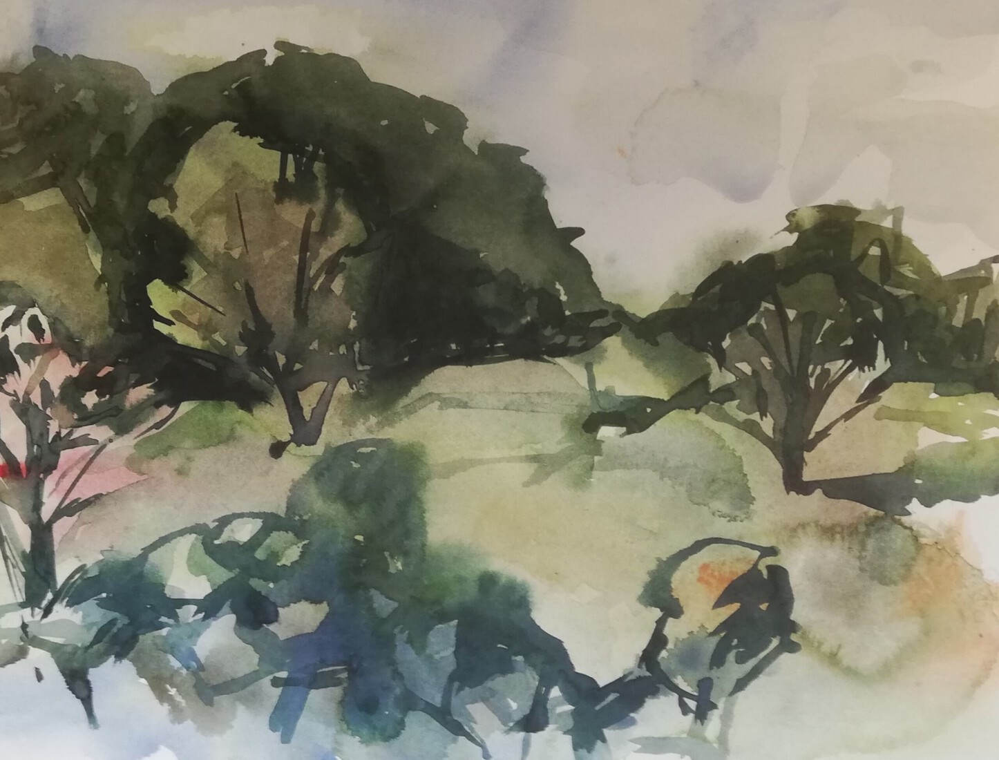 Kennemerduinen 