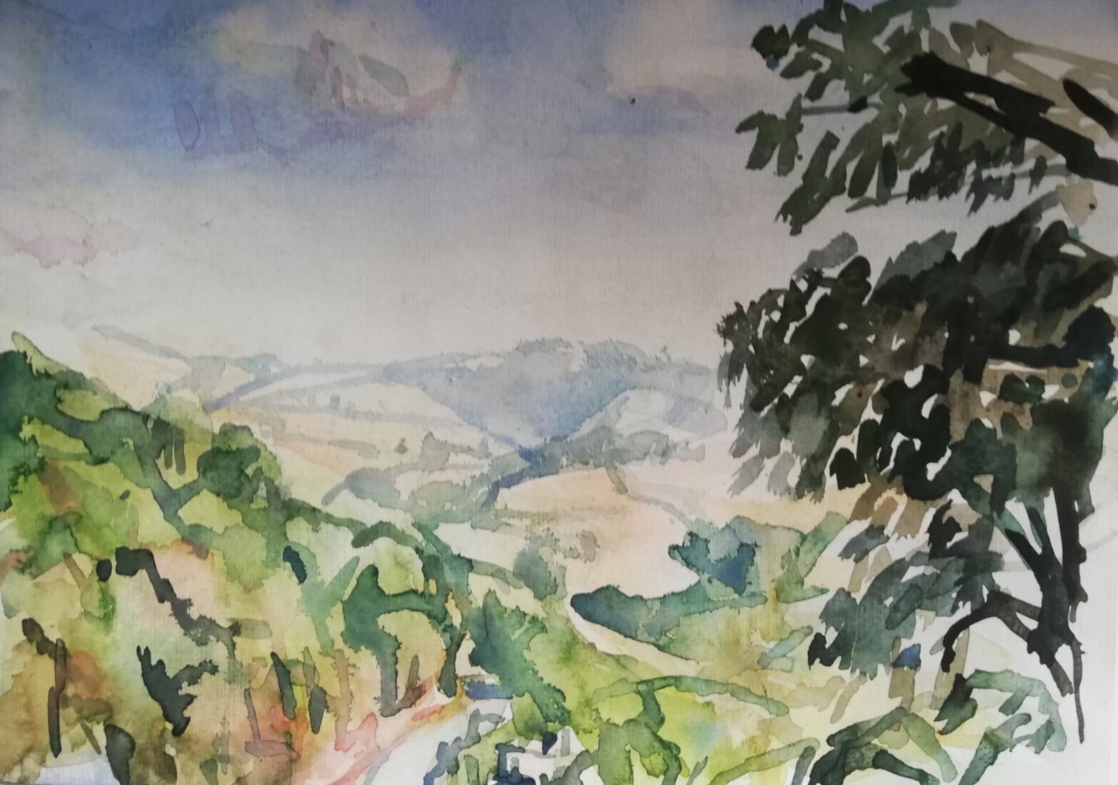 Cevennes