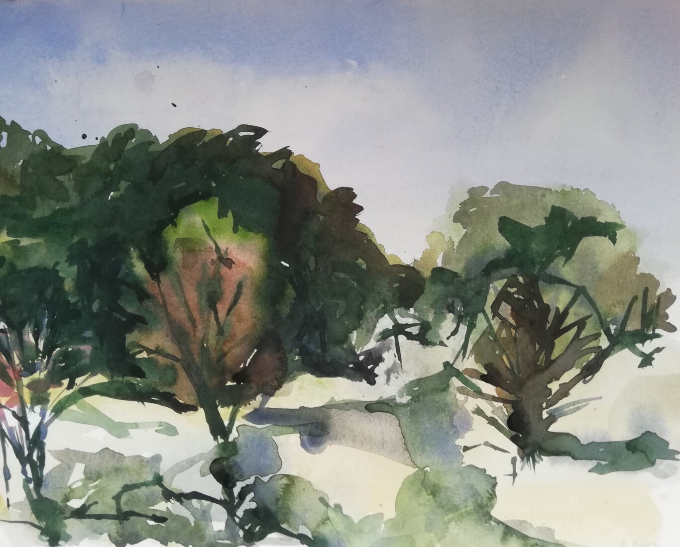 Herfst in Kennemerduinen  