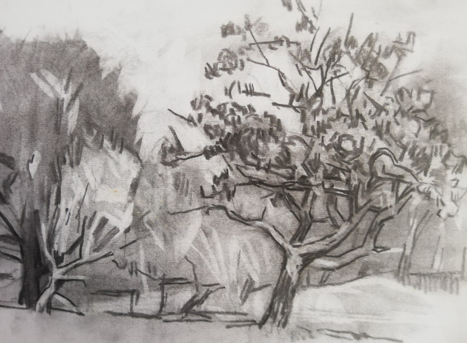 In de duinen 