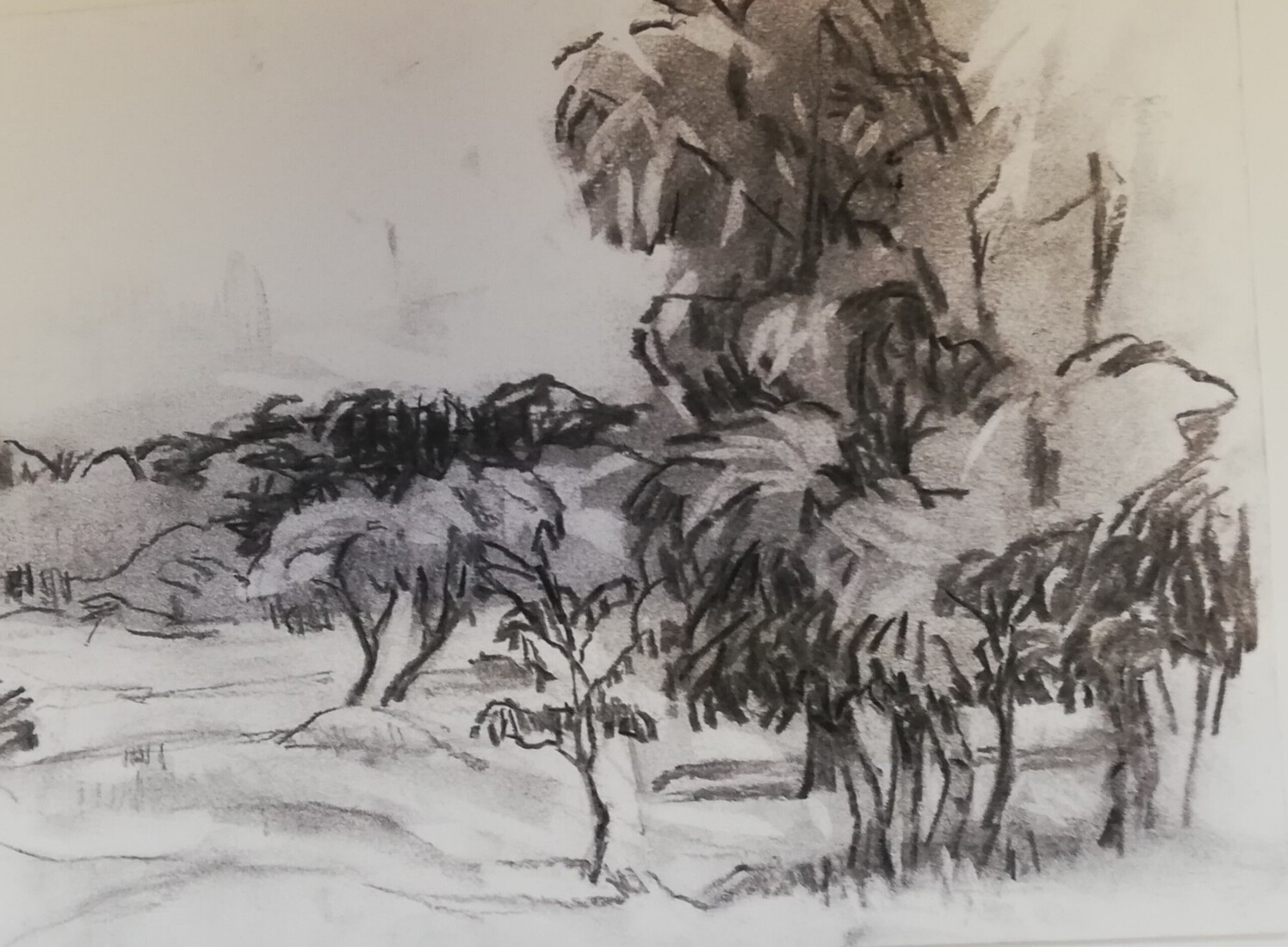 Duinen bij Zandvoort