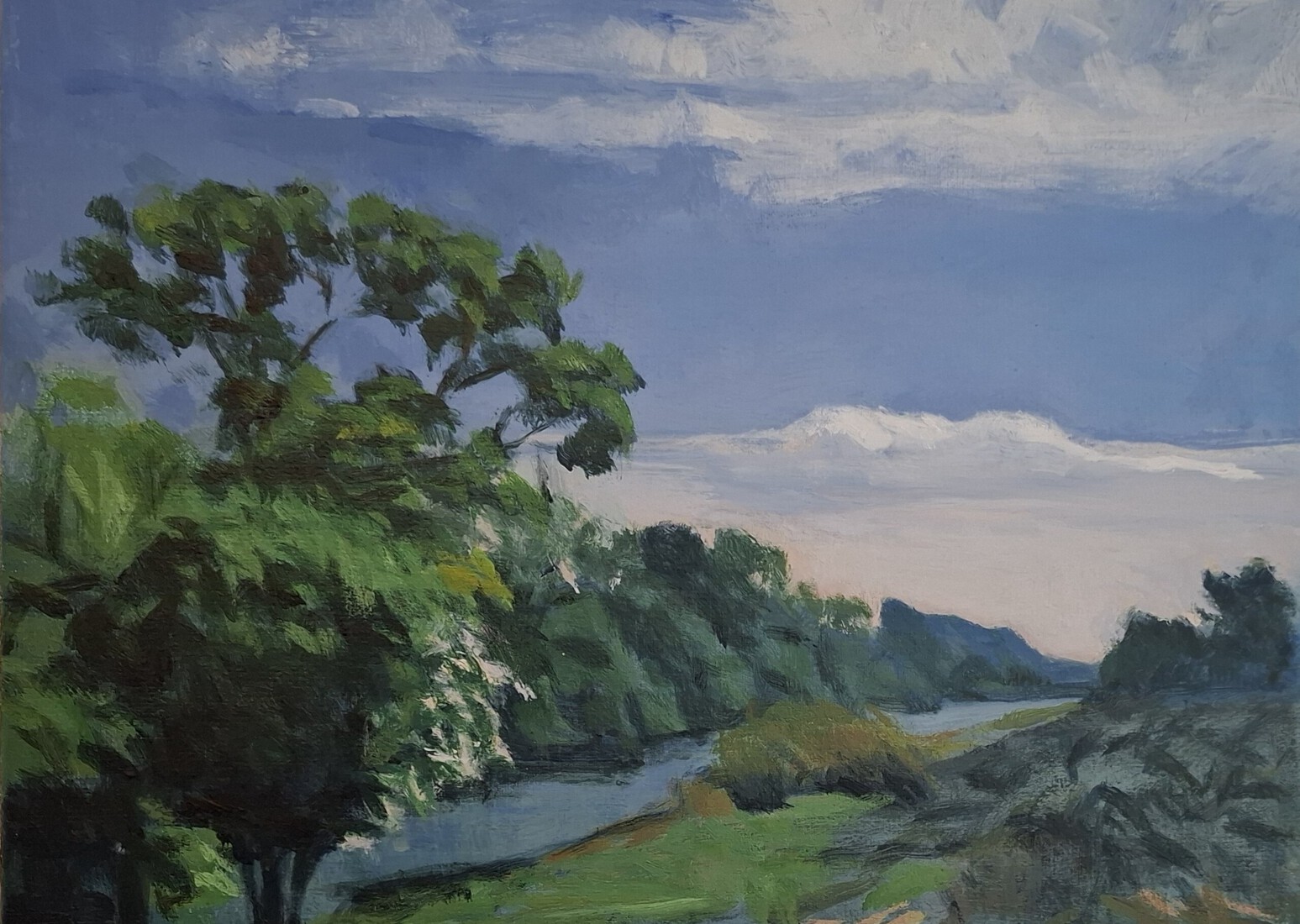 Duinen bij Zandvoort