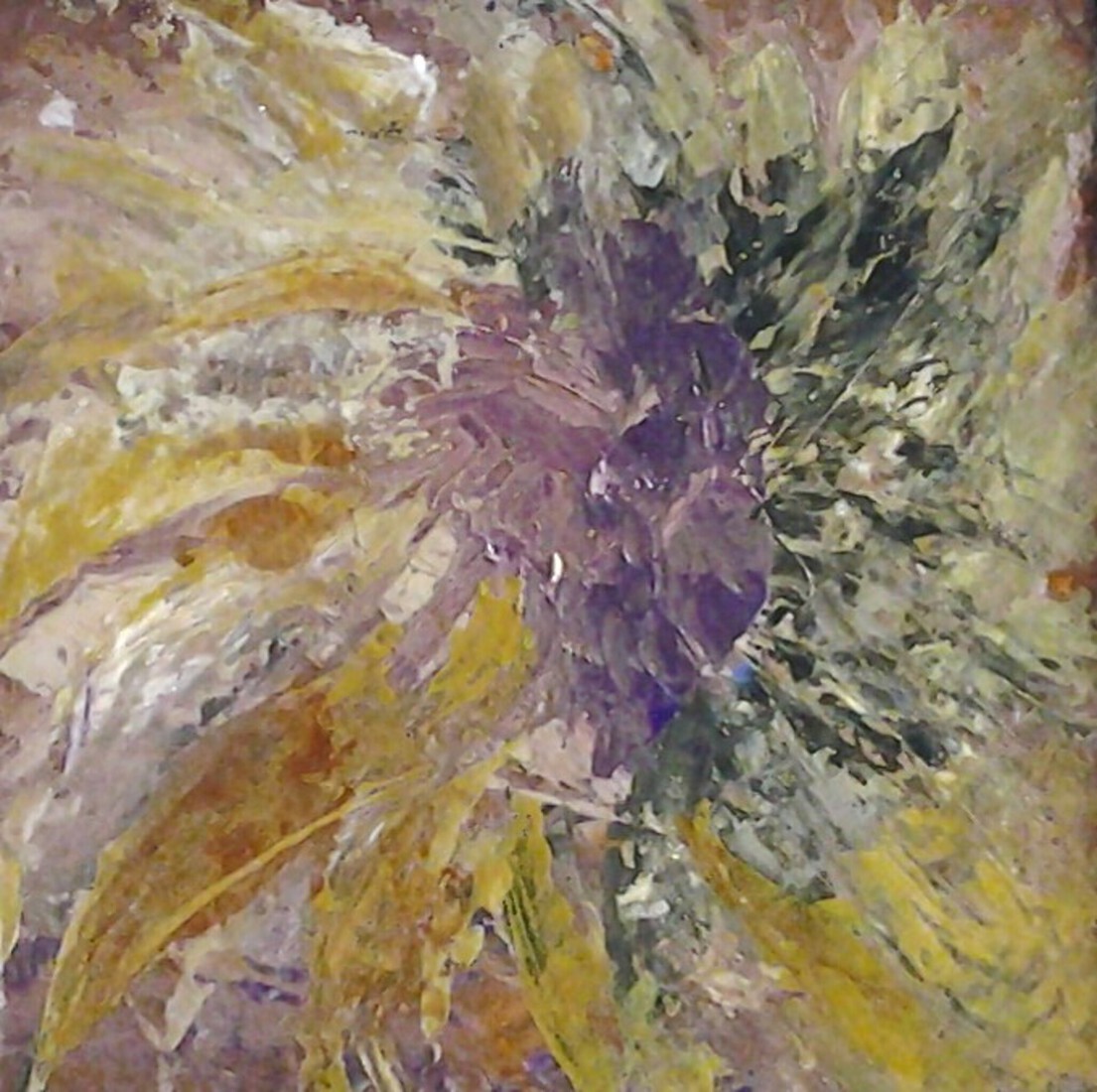 zonnebloem