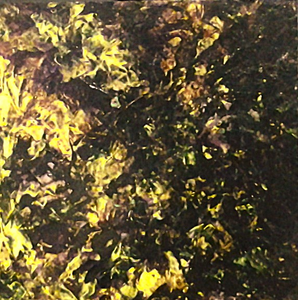acryl op paneel 