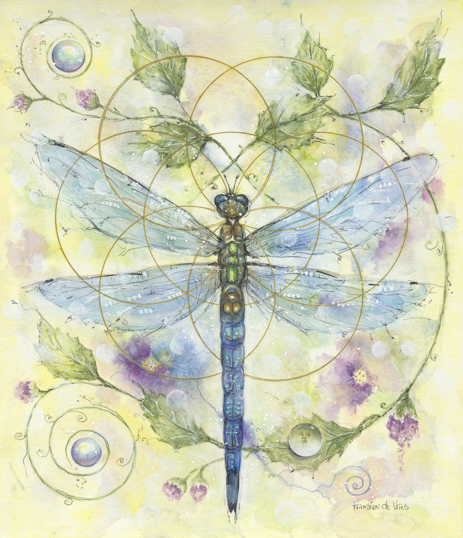Kunstafdruk ( Gicleé) Dragonfly 25x30CM