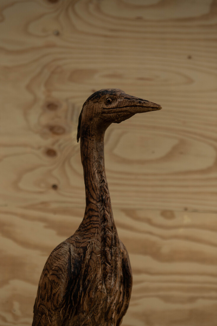 Blauwe reiger