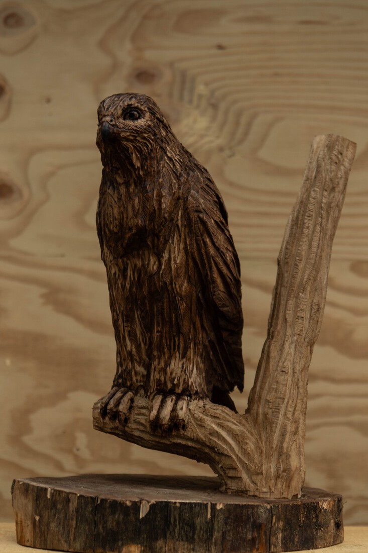 Buizerd 1