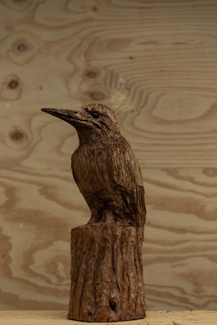 IJsvogel 2