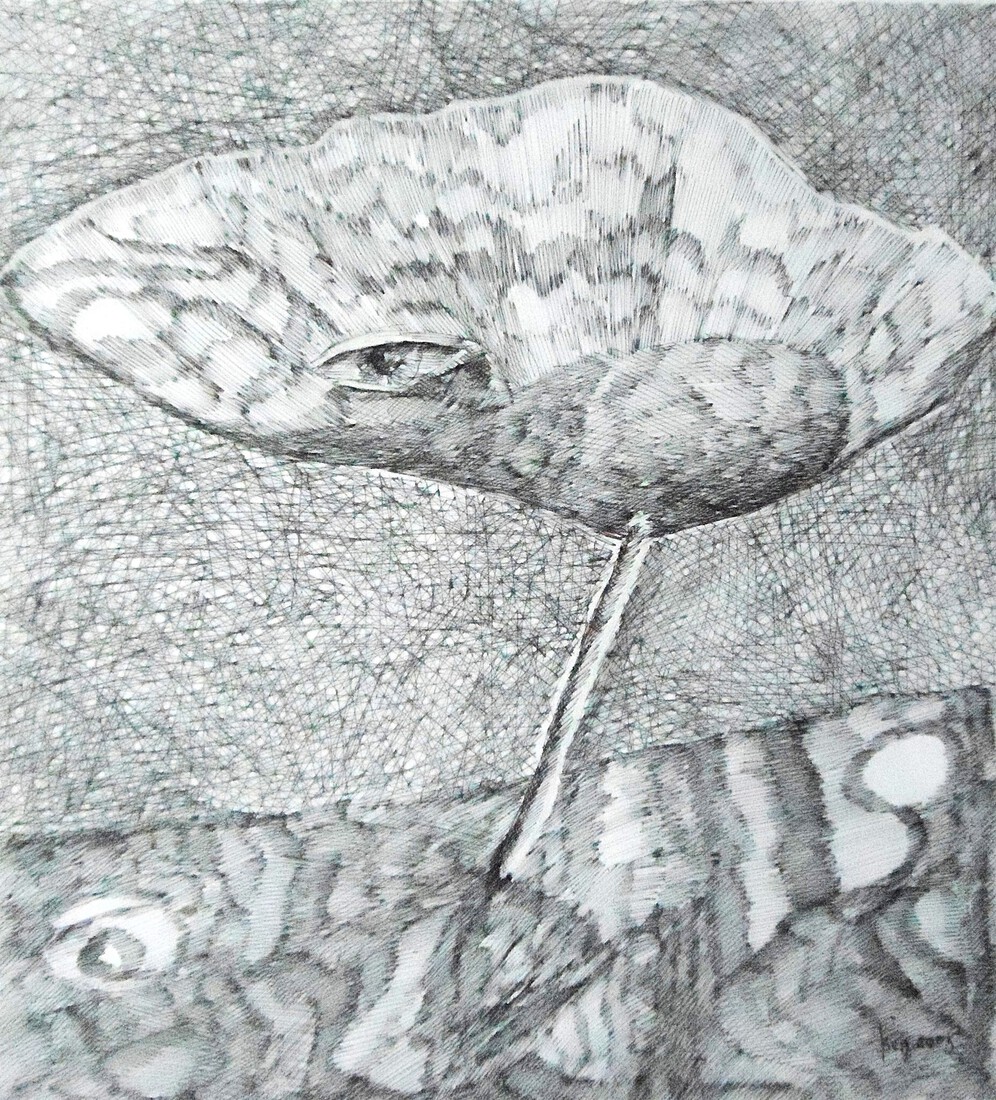 Ik zie wat jij niet ziet. Fantasie (arceer) tekening op papier.