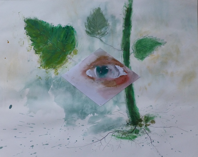 een Oog in het groen 2