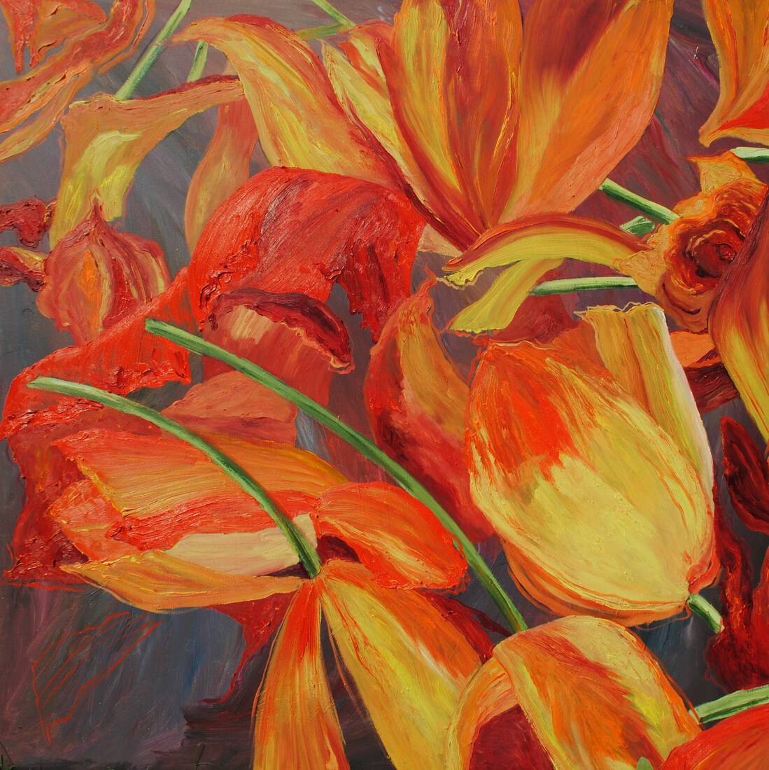 Tulpen-wan-hoop