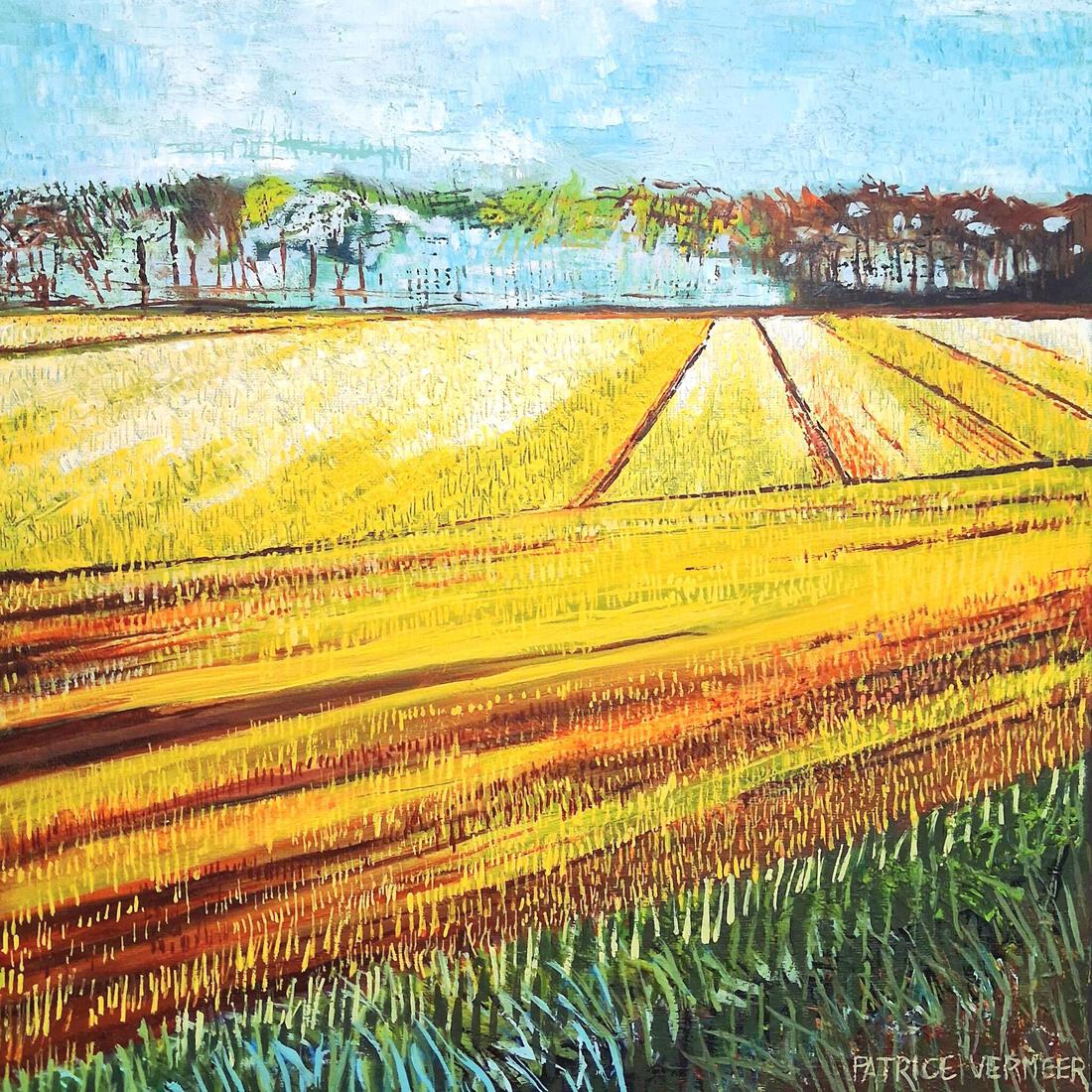Brabants landschap