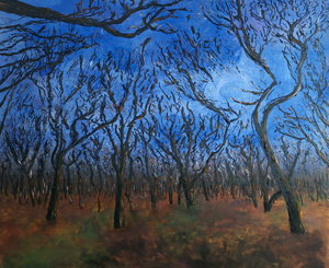 Impressies van landschappen in olieverf en multimedia voornamelijk op multiplex panelen.