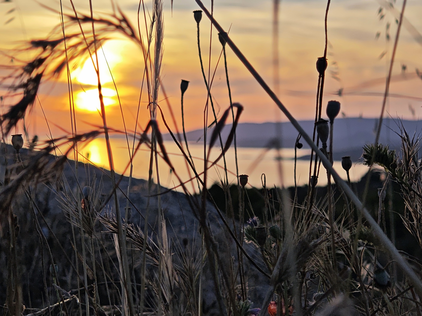 natuur #30052026