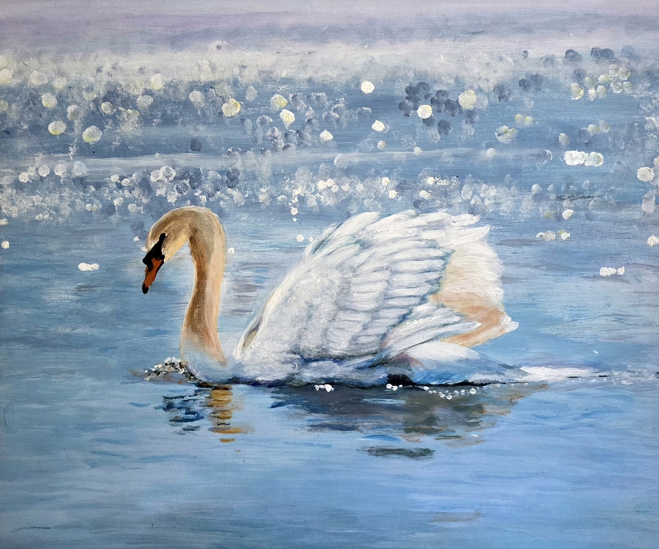 Zwaan