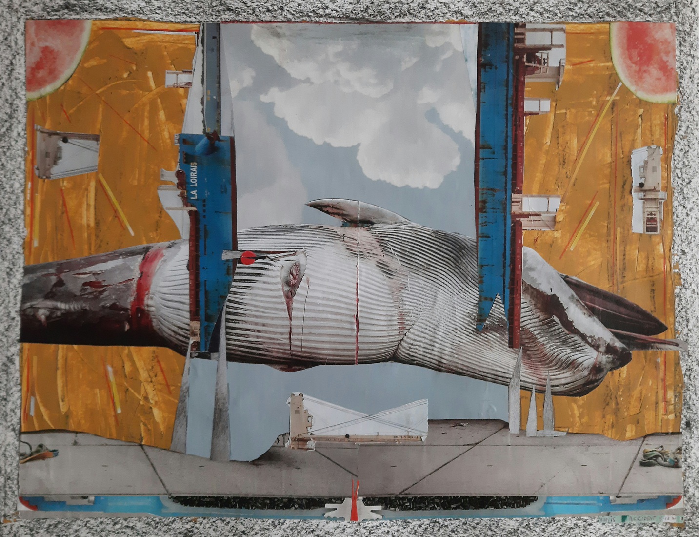 Finwhale Accident
