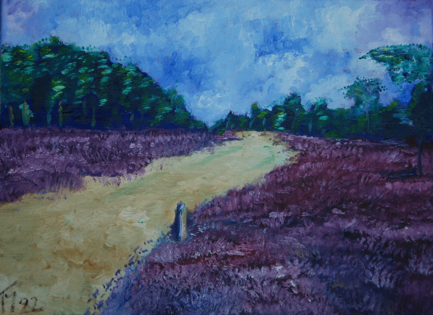 Heide in bloei