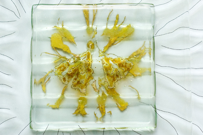 detail zilvergele ginko met koperdraad