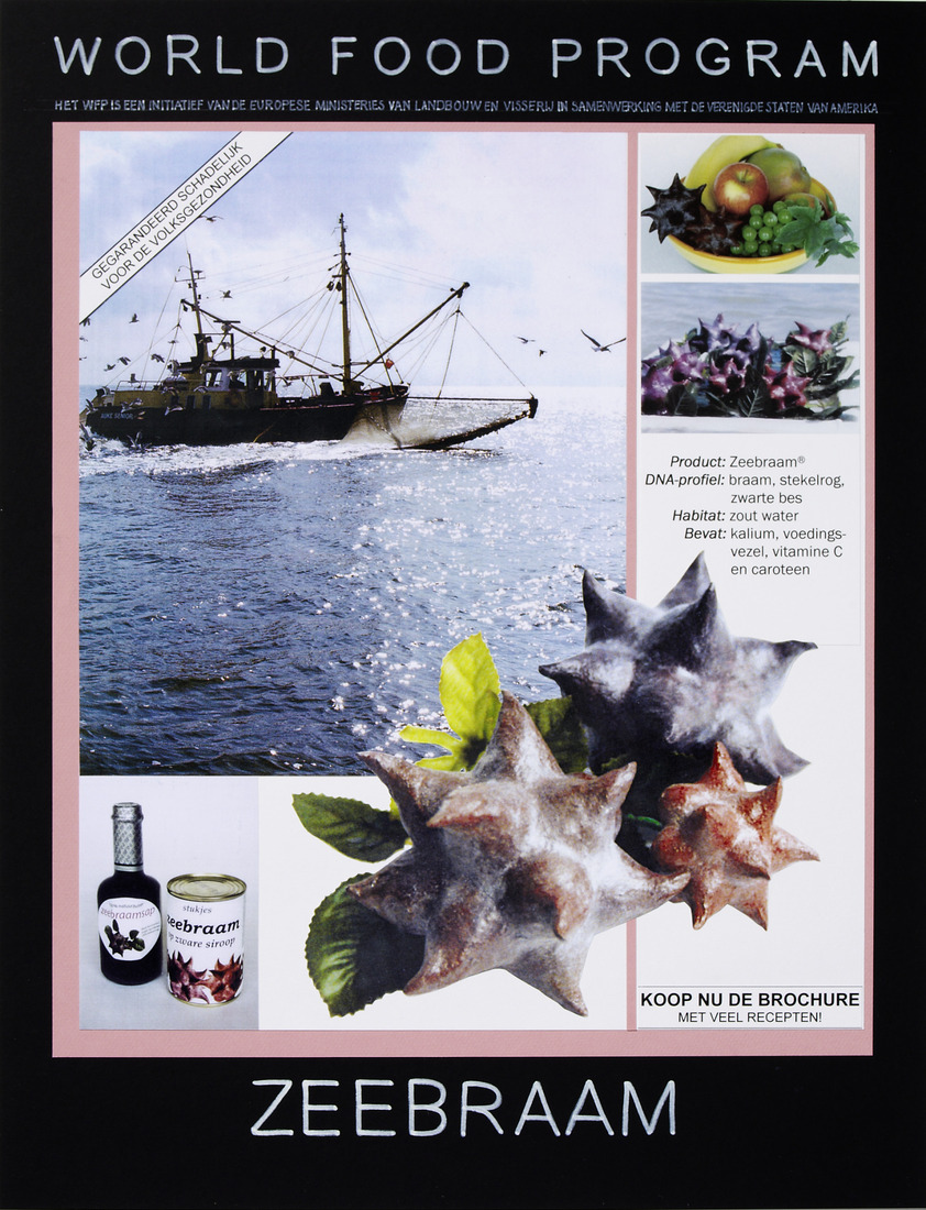 Sea blackberry
