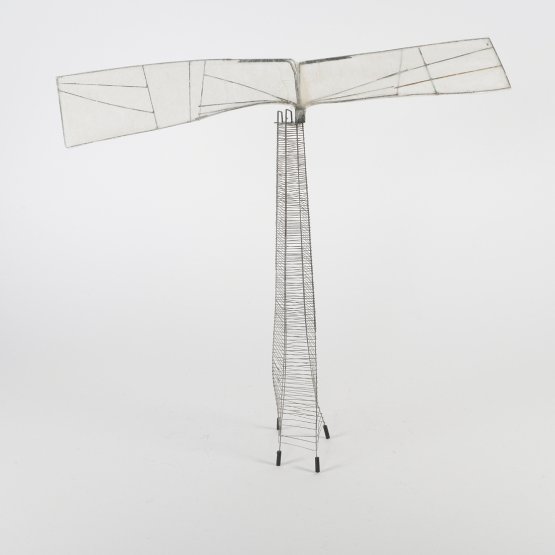 Arthropoda Insect Object jeh00636