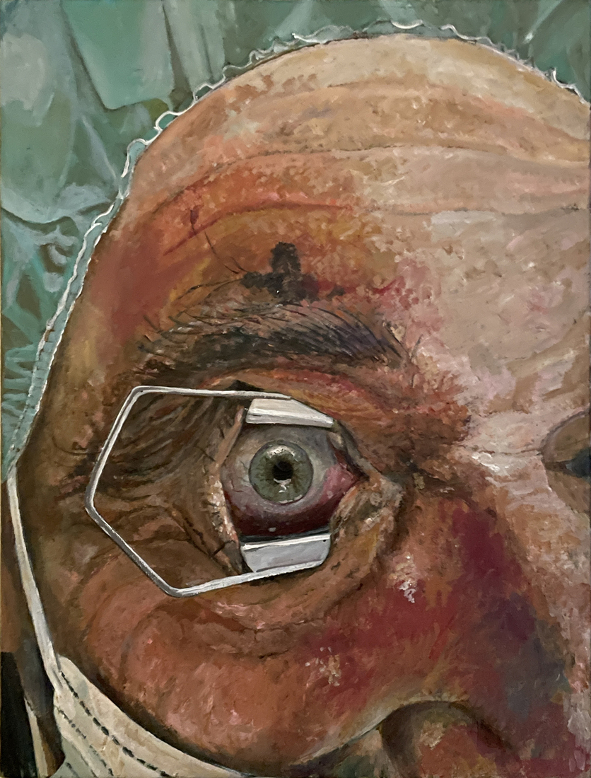 Het oog van de meester.