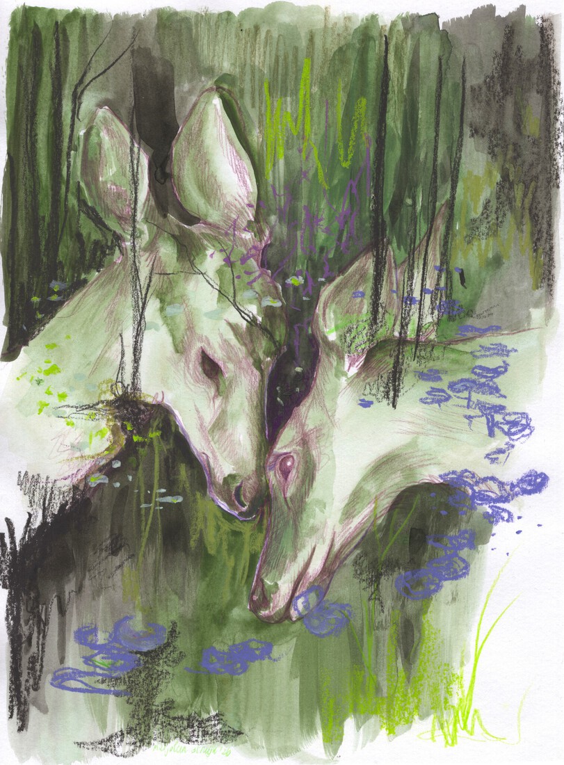 Deer