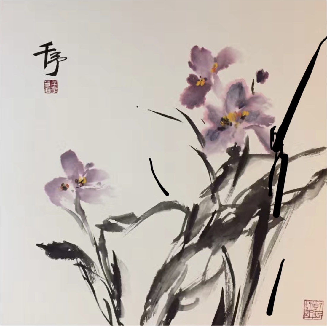 Orchidee