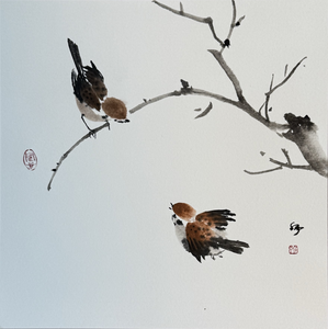 dieren
