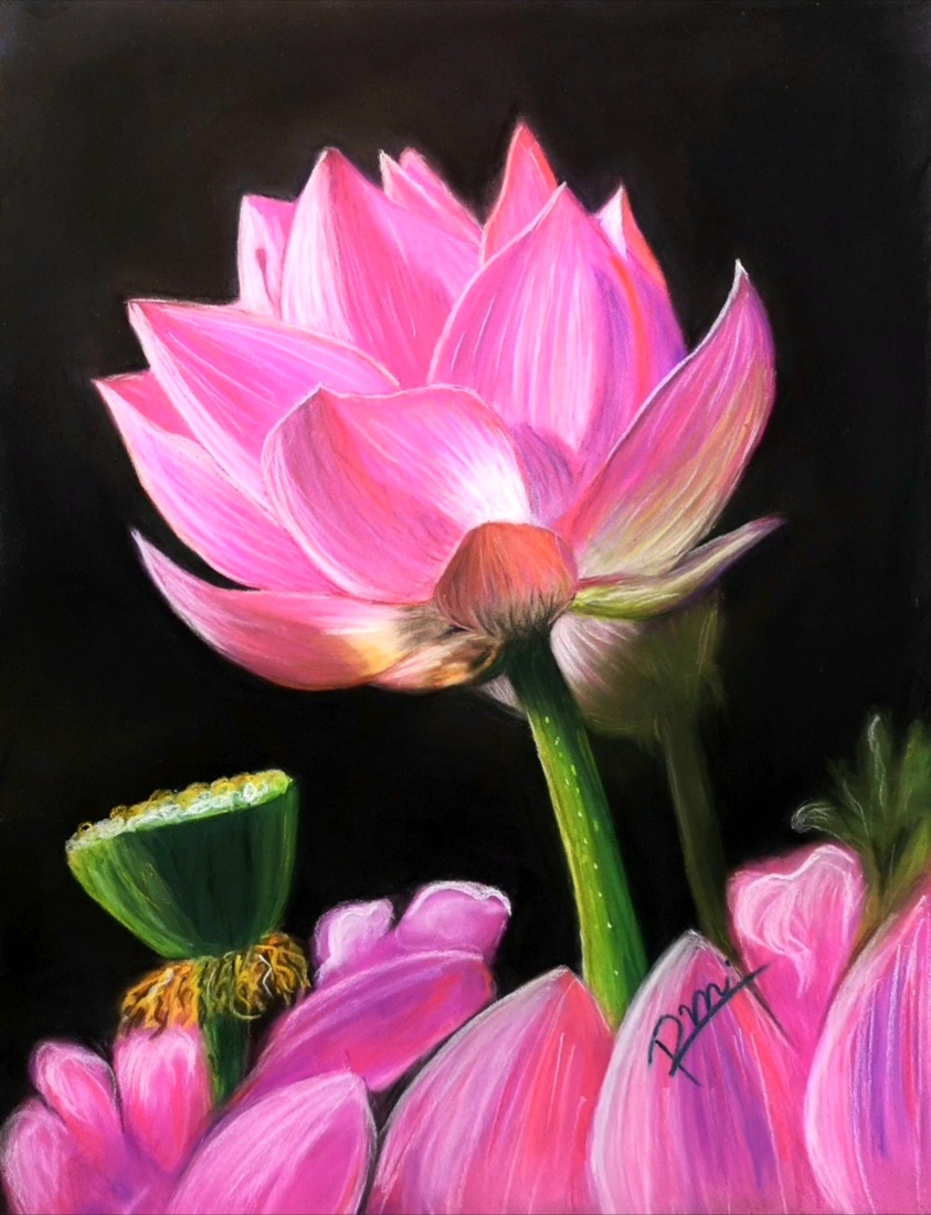 De lotus