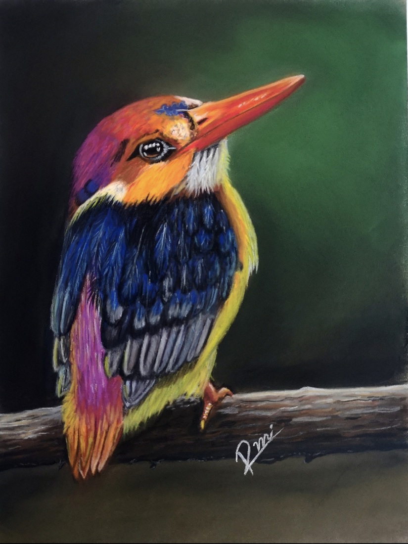 Dwergijsvogel