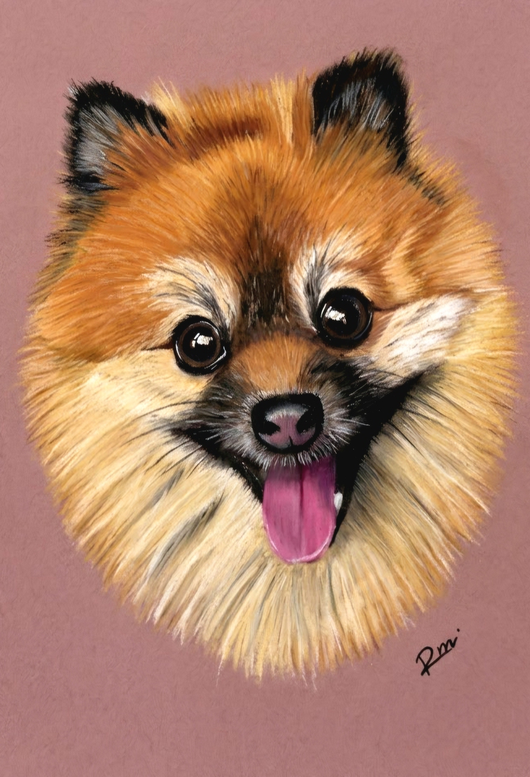 Handgetekend Portret van een Vrolijke Pomeranian