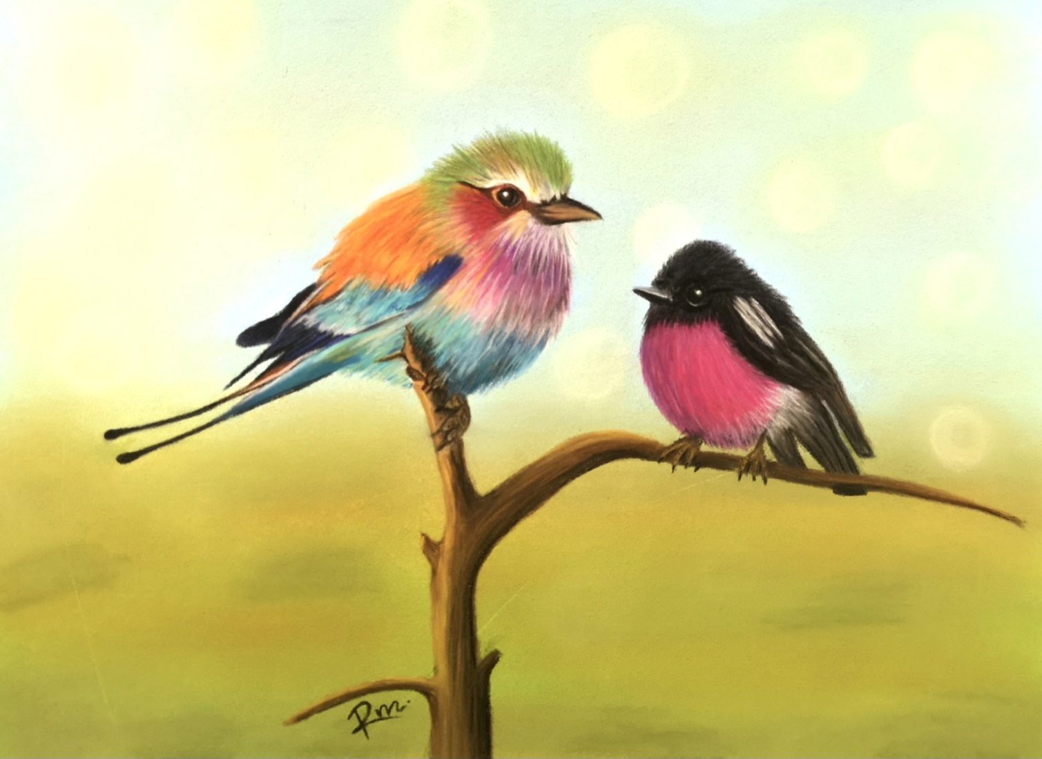 Mijn Eerste Vogels in Pastel