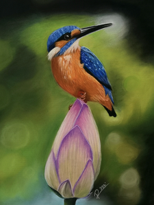 Pastel, acryl