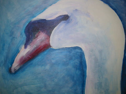 swan 2