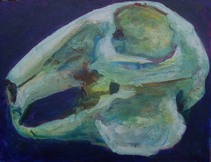 Skull