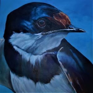 Portretten van vogels