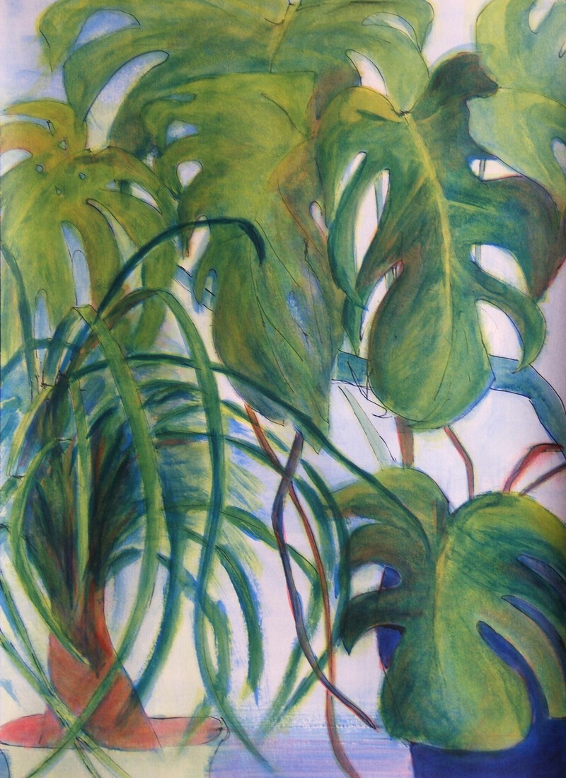 planten