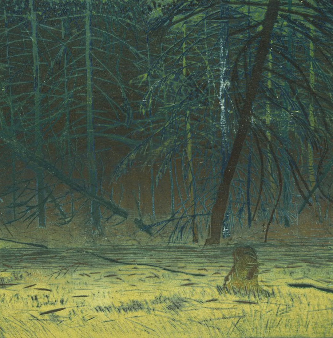 Skogen (nocturne)
