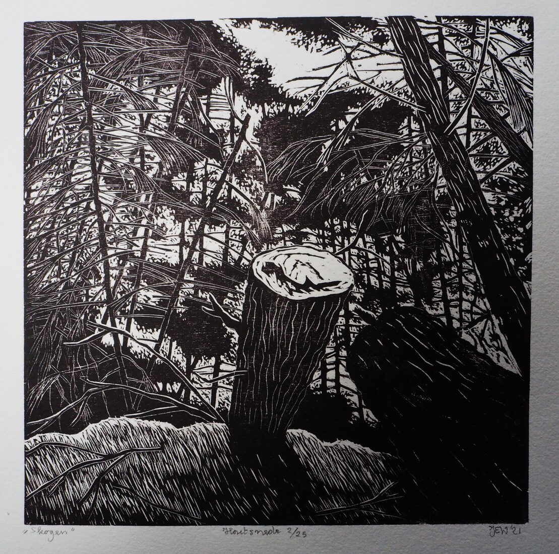 Skogen VI (zwart/wit)