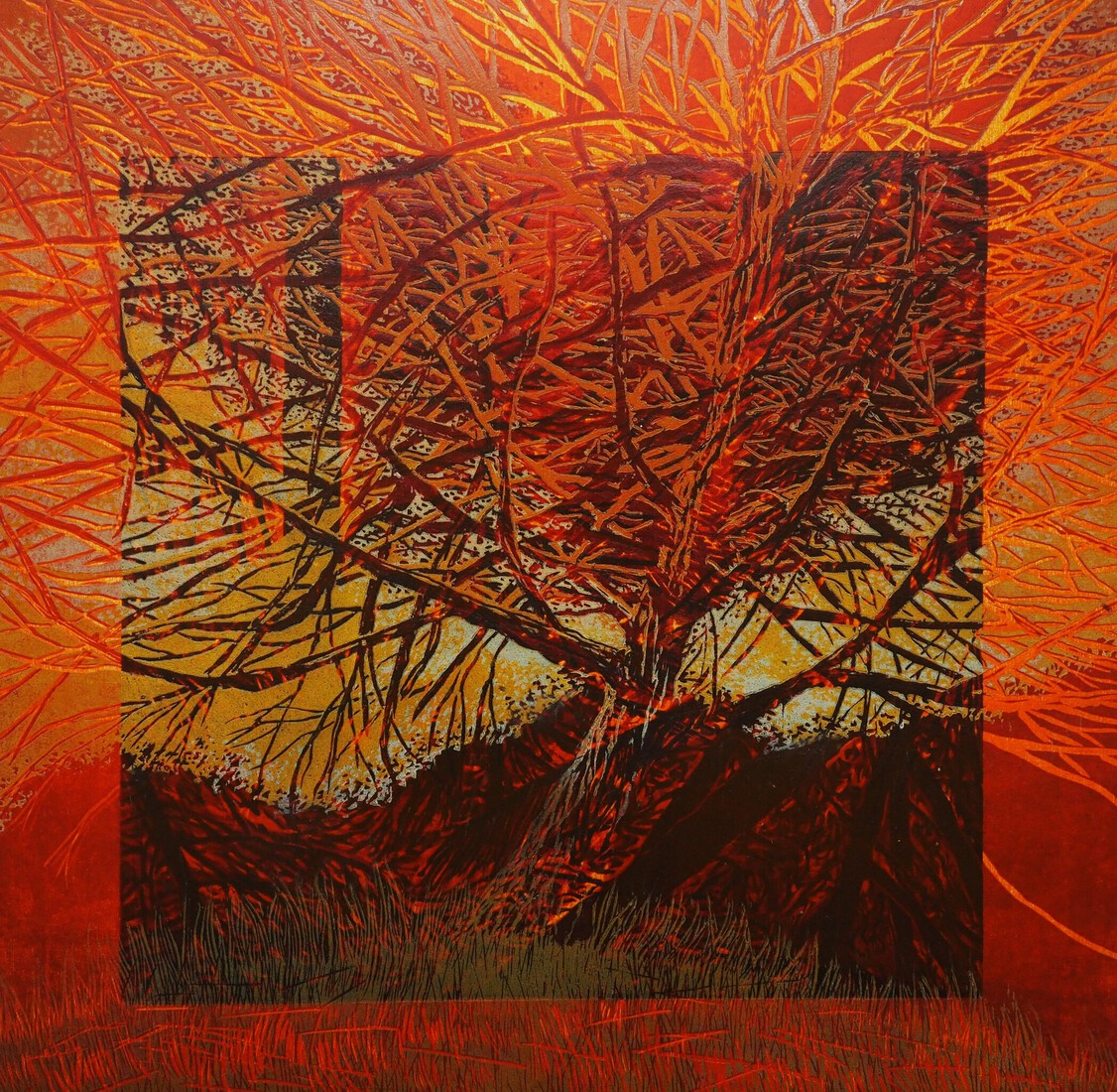 Skogen (rood)