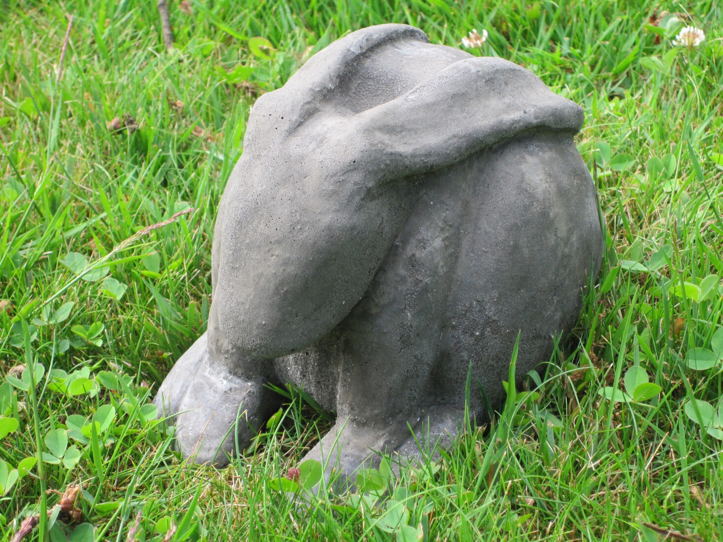 Konijn