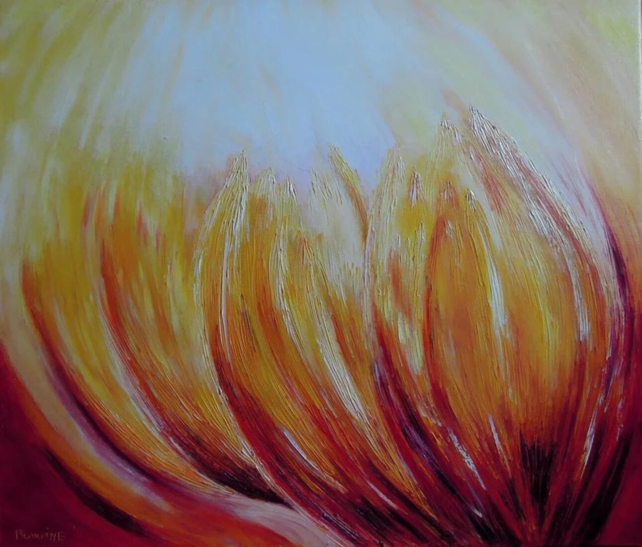Tulpen 
