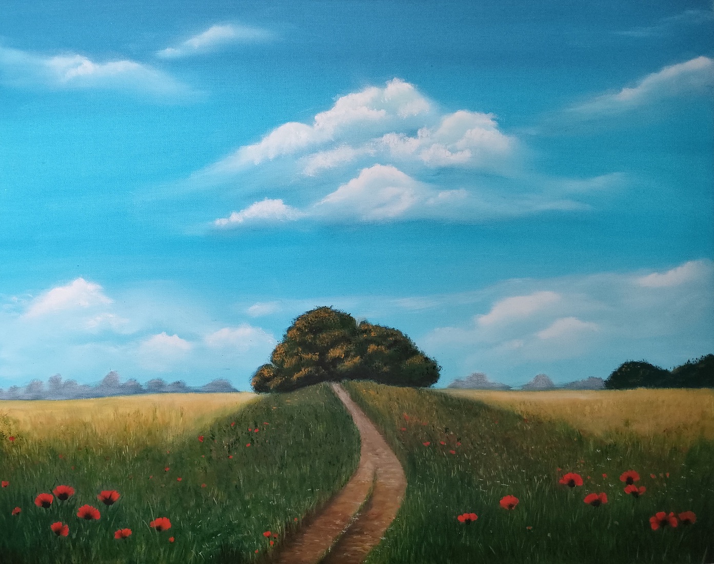 Naar de horizon