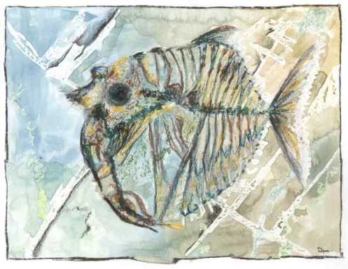 Fossil
