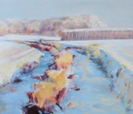 studies van het landschap, wandelend door de buurt, winters tafereel begin 2009