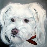 Dit zijn schilderijen van mijn hond Sammie en van vrienden