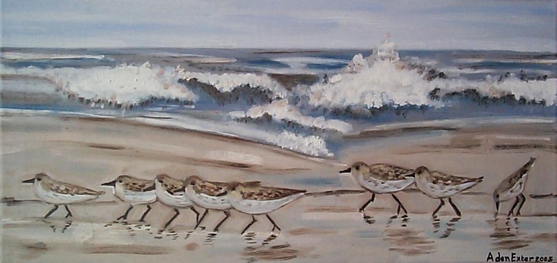 Vogels op het strand