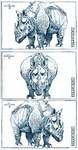 Illustraties van Lon Hendriks