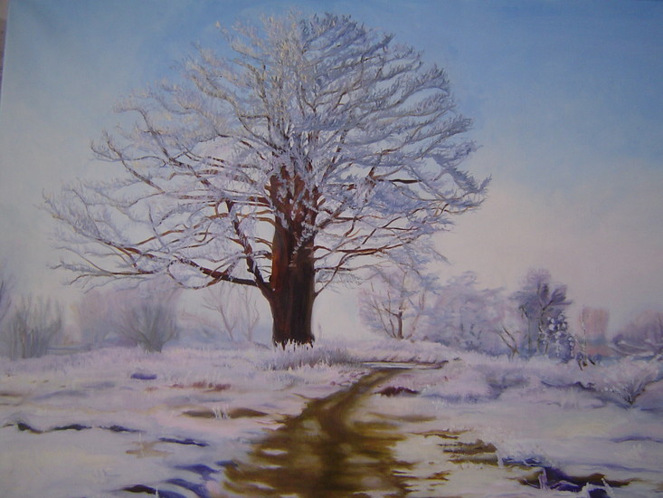 winterlandschap